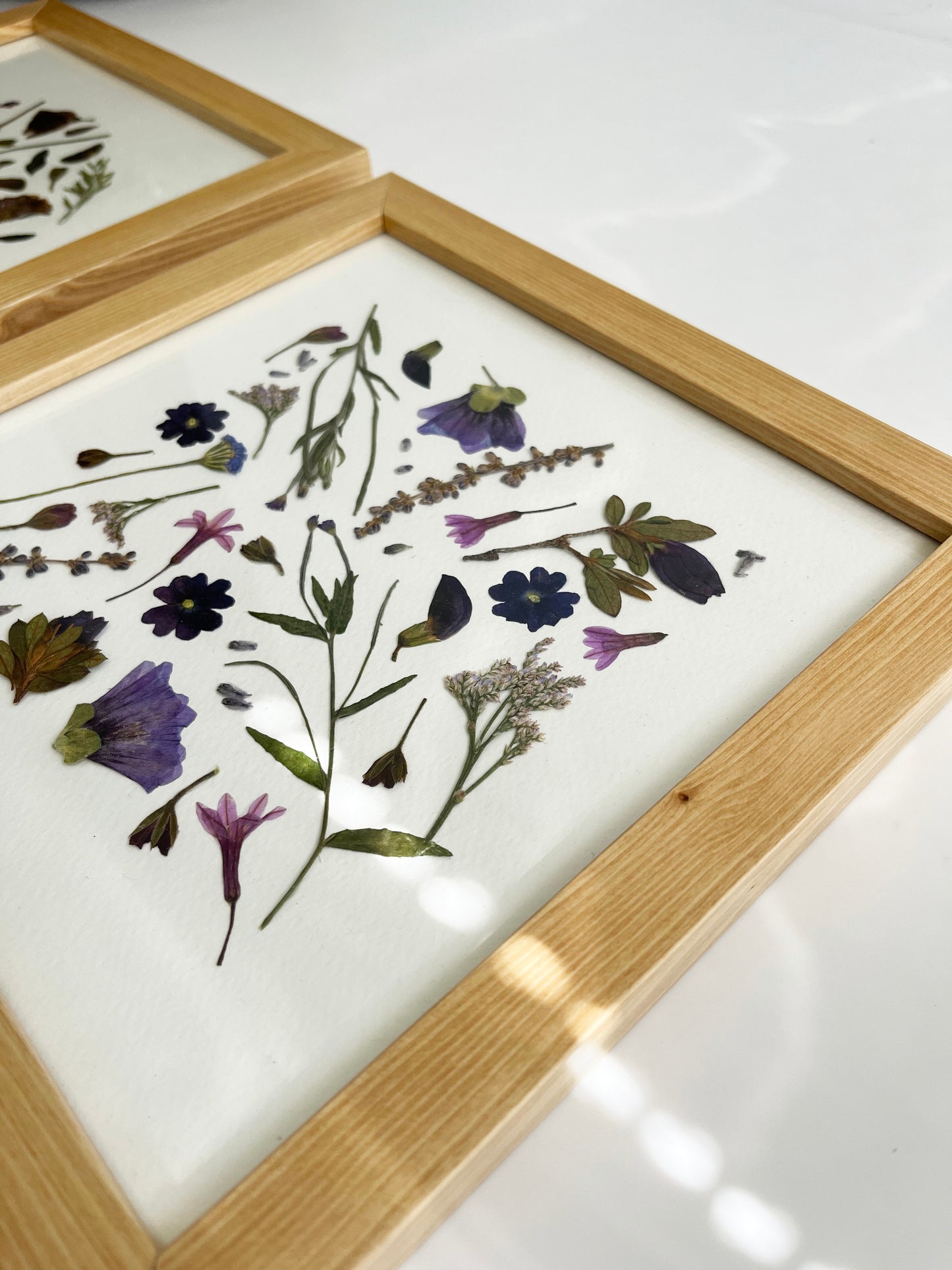 Composición morada