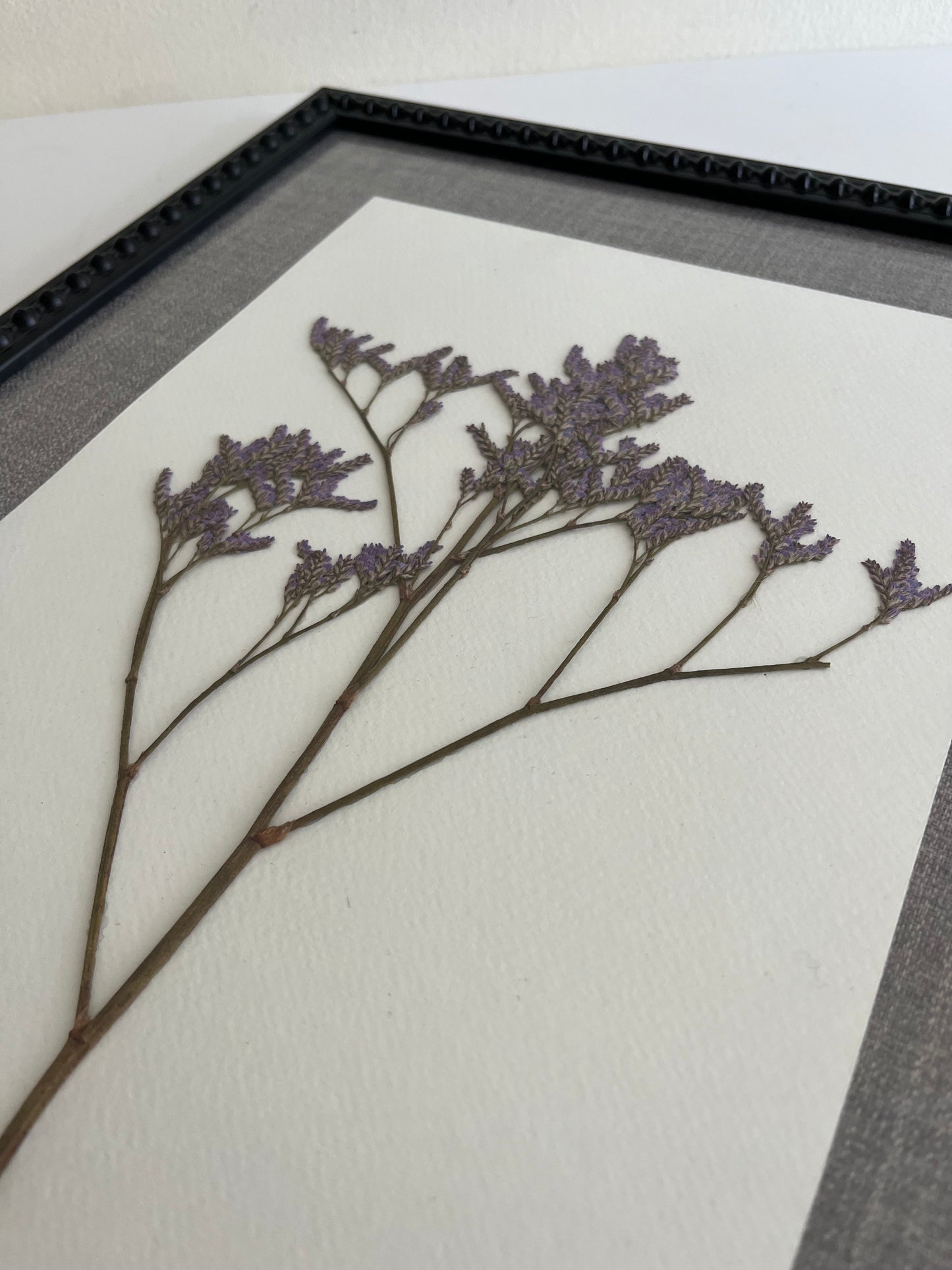 Composición Limonium
