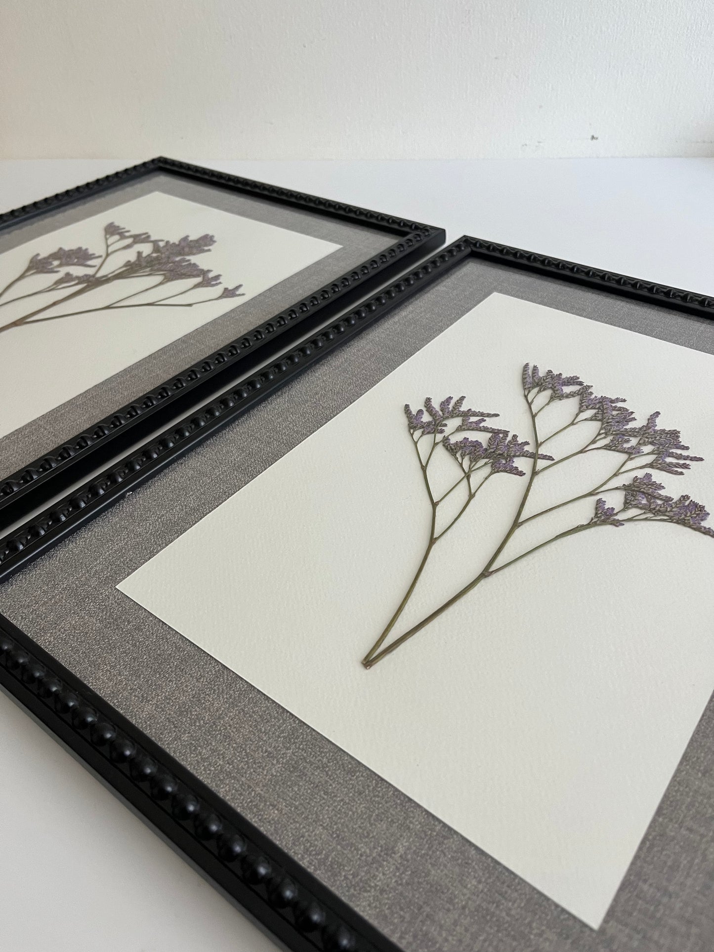 Composición Limonium