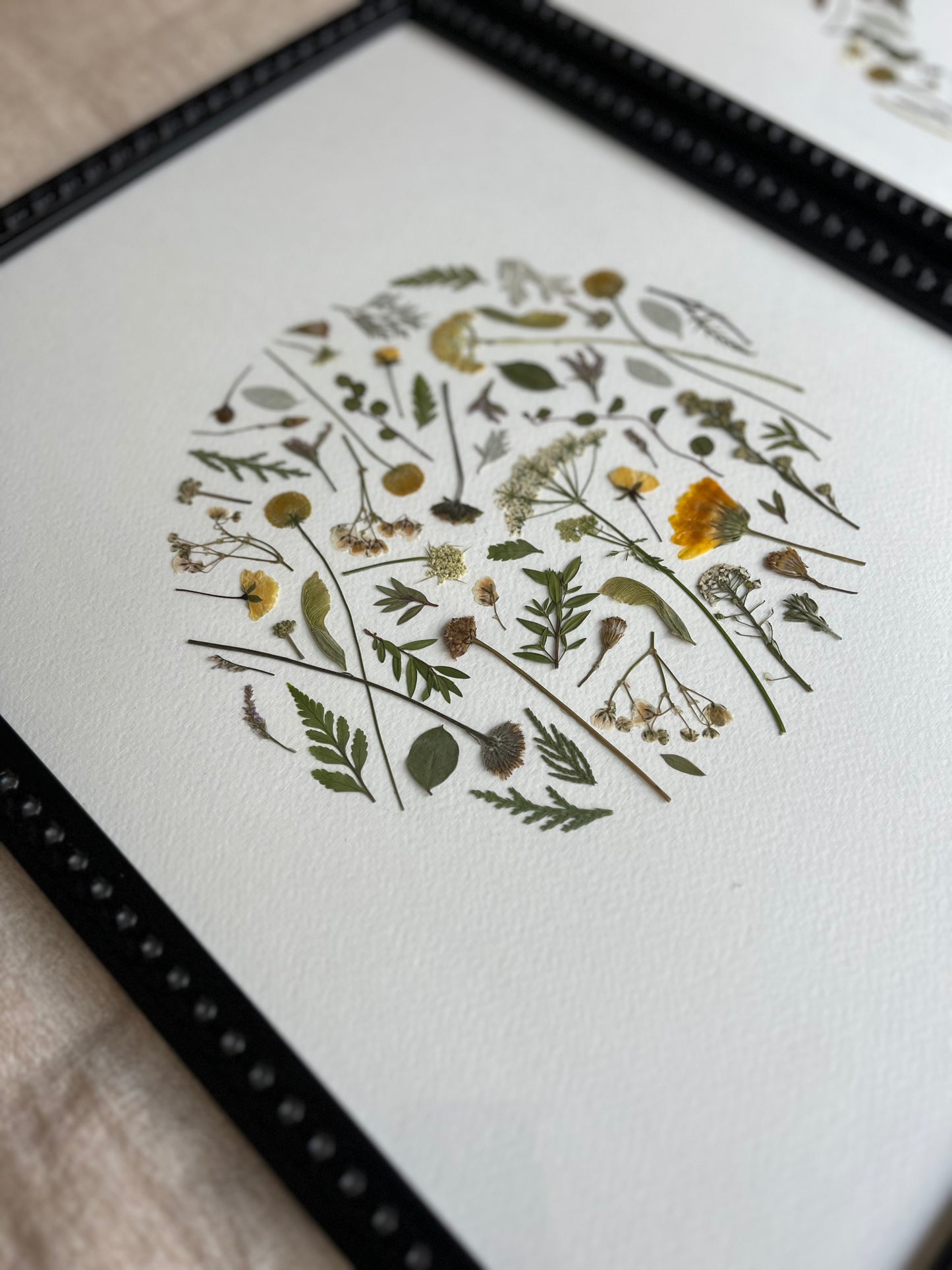 Trilogía detalles