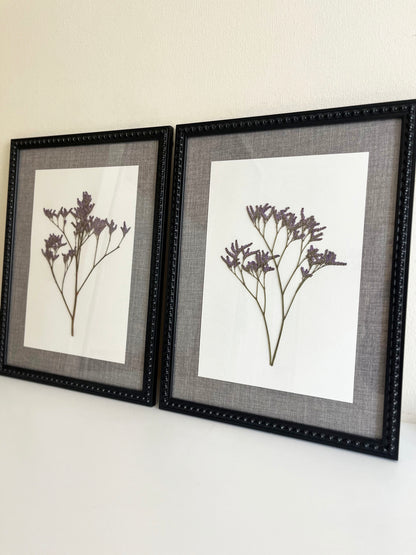 Composición Limonium
